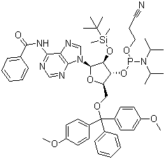 N-苯甲酰基-5'-O-(4,4-二甲氧基三苯甲基)-2'-O-[(叔丁基)二甲基硅基]腺苷-3'-(2-氰基乙基-N,N-二异丙基)亚磷酰胺