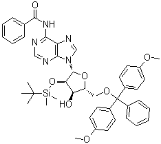 N6-苯甲酰基-5'-O-(4,4'-二甲氧基三苯甲基)-2'-O-(叔丁基二甲基硅烷基)腺苷